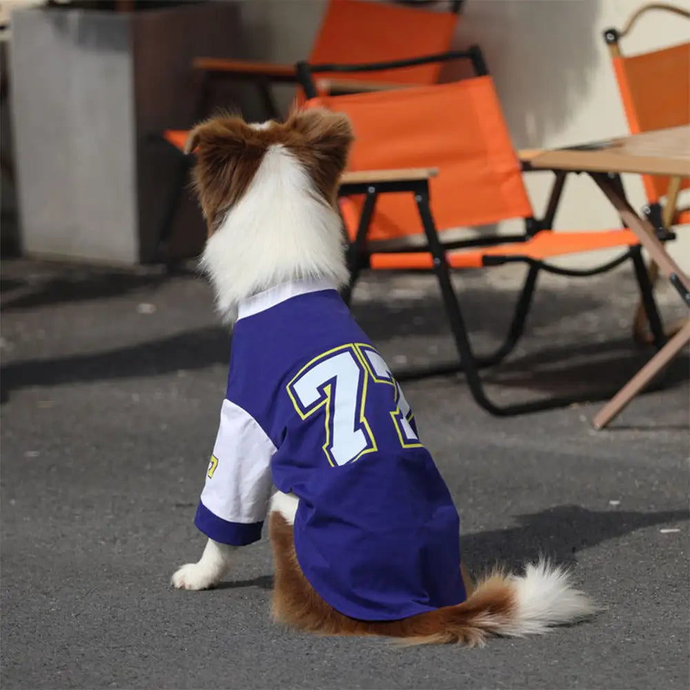 Crew-Neck Atmungsaktives Waschbares Hund T-Shirt für alle Rassen