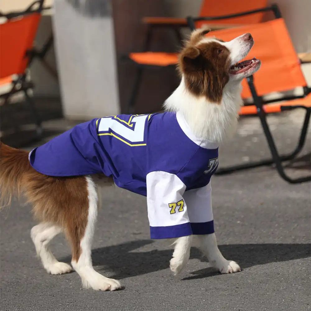 Crew-Neck Atmungsaktives Waschbares Hund T-Shirt für alle Rassen
