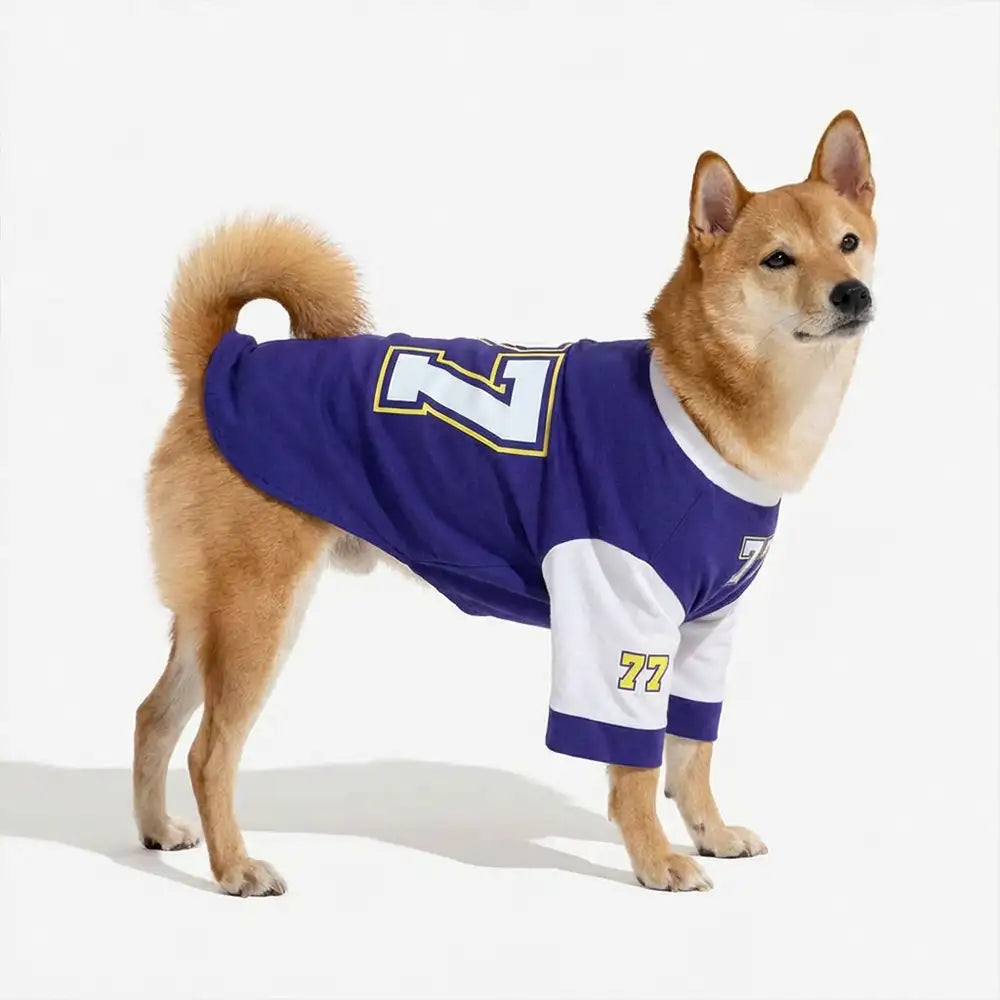 Crew-Neck Atmungsaktives Waschbares Hund T-Shirt für alle Rassen