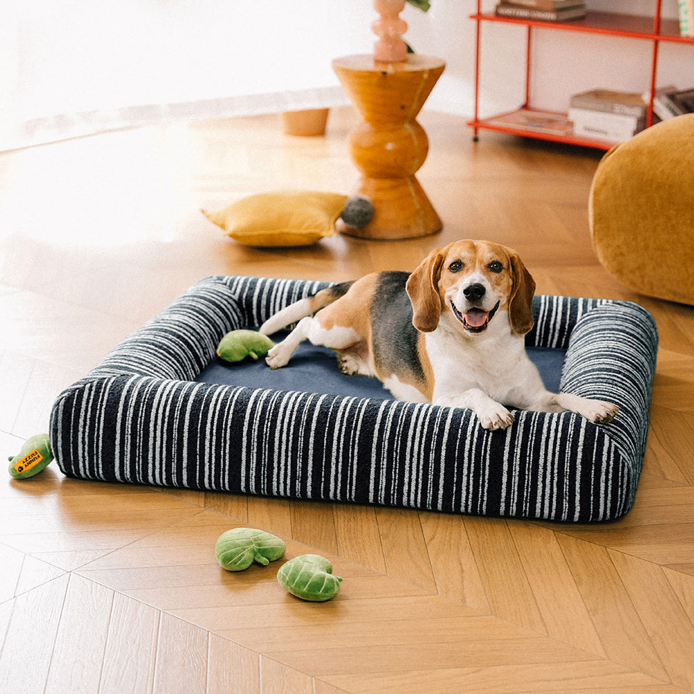 Orthopädisches ganzjahres Memory Foam Hundebett - Funnyfuzzy SnugNest