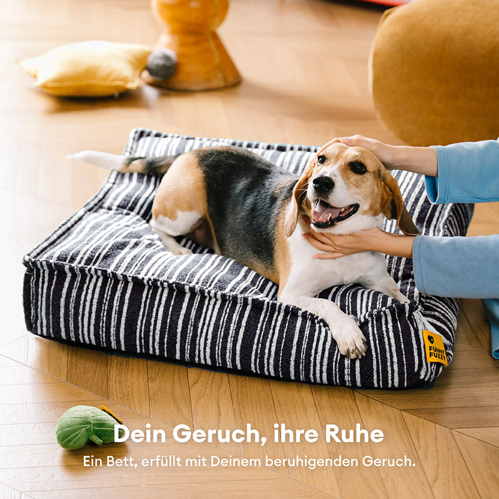 Nachhaltiger Stauraum Pouf Ottoman & Hundebett - Funnyfuzzy SnugNest