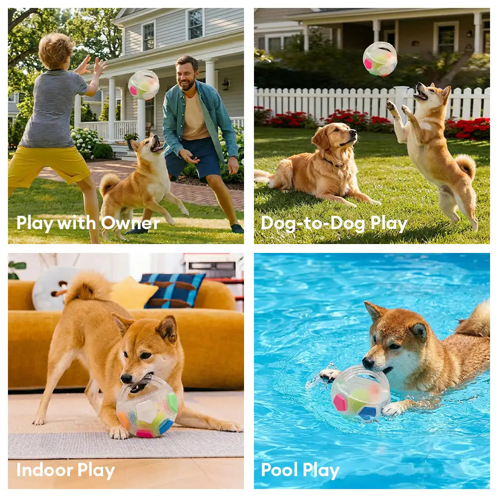 Hundesoccerball mit Griff schwimmendes Kauspielzeug