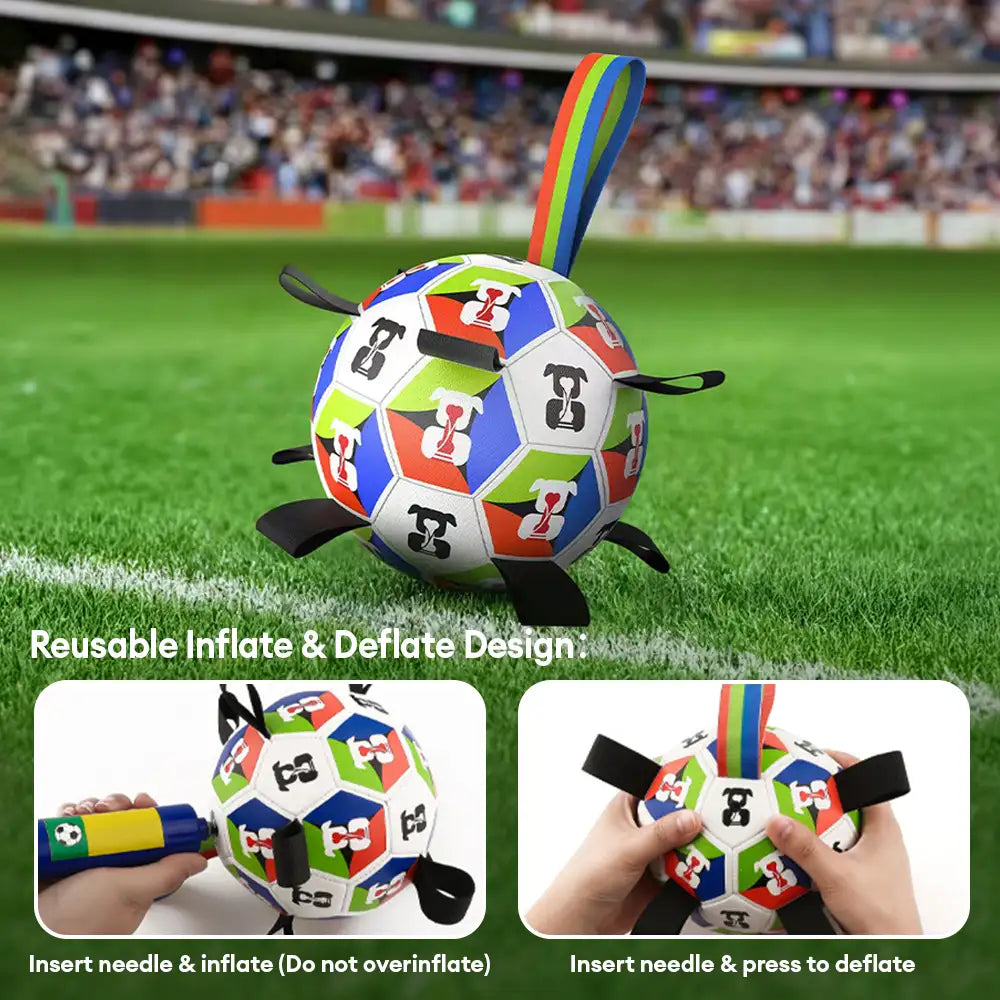 Hundesoccerball mit Riemen interaktives Spielzeug