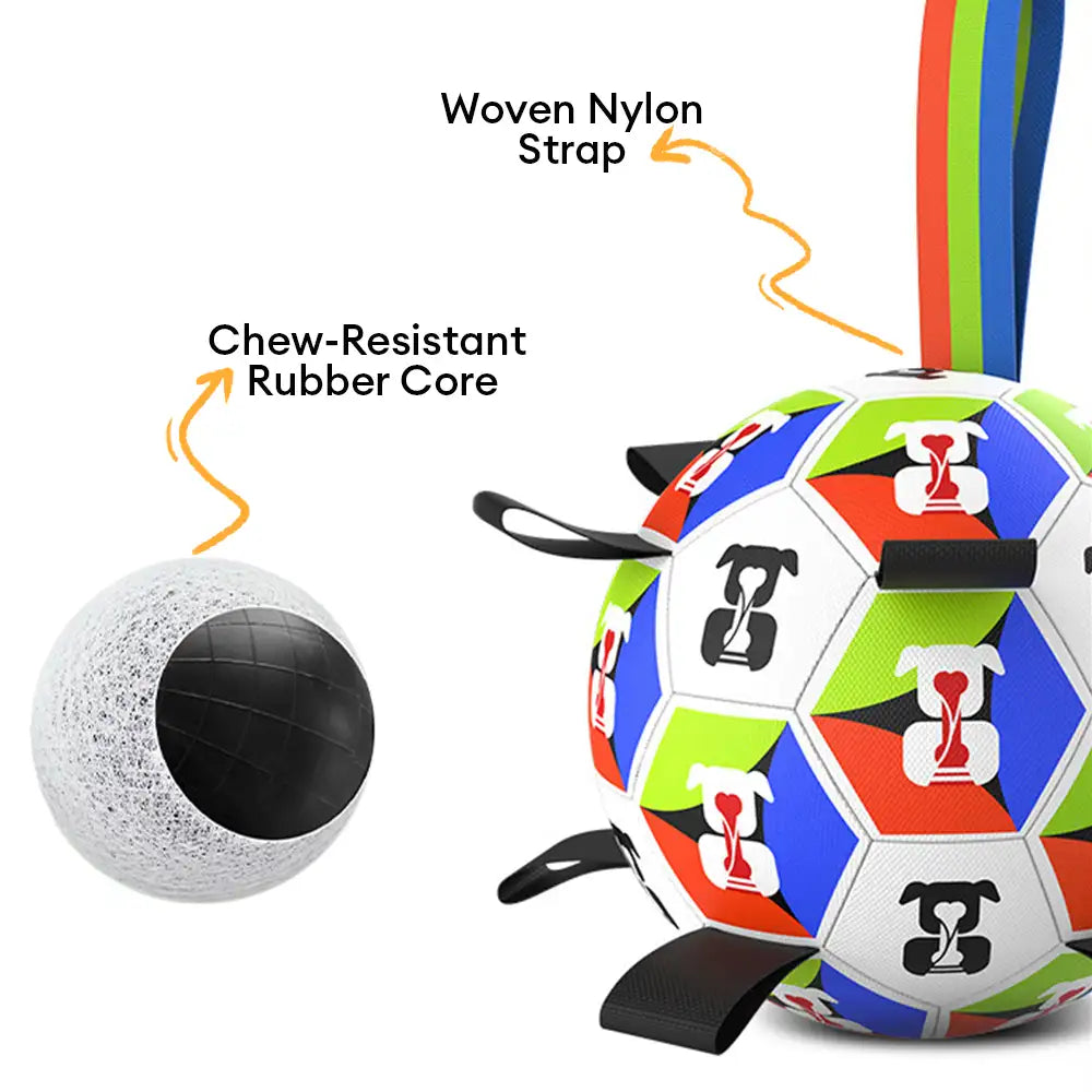 Hundesoccerball mit Riemen interaktives Spielzeug
