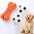 Robustes Quietschknochenspielzeug für Hunde
