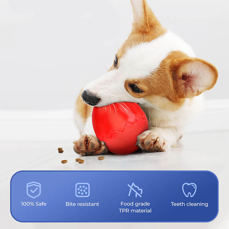 Jouets à mâcher pour chien à alimentation lente en forme d'oeuf jouets interactifs pour chien