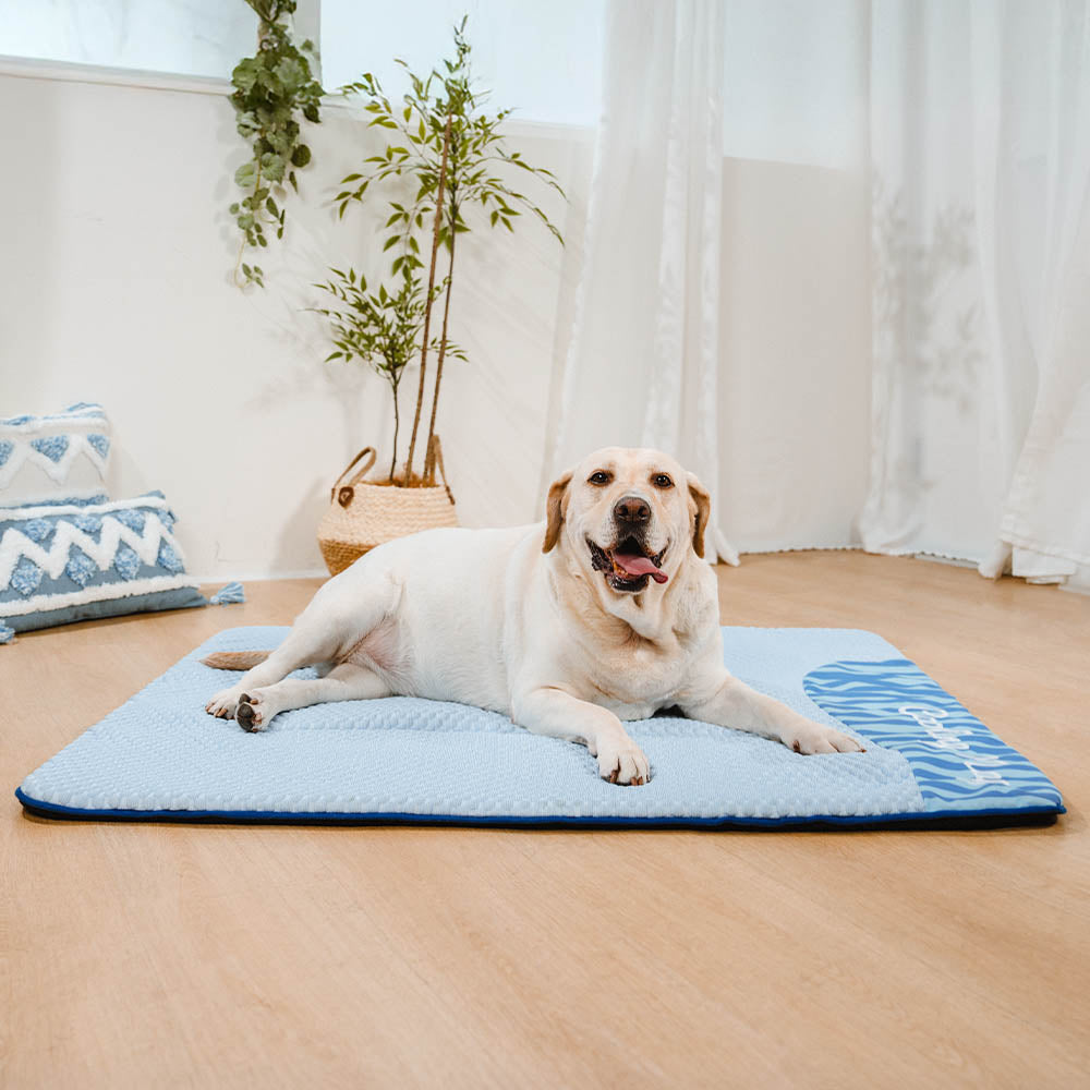 Große Waschbare Kühlende Rutschfeste Hundematte - Kühlende Nickerchen