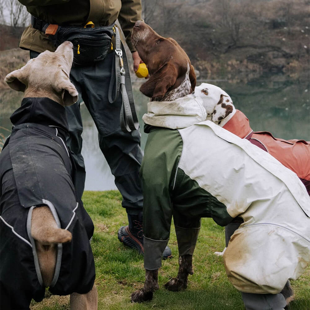 Vierbeiniger Leichter Wasserdichter Rollkragen-Regenmantel mit reflektierendem Kordelzug und Kapuze für Hund und Besitzer