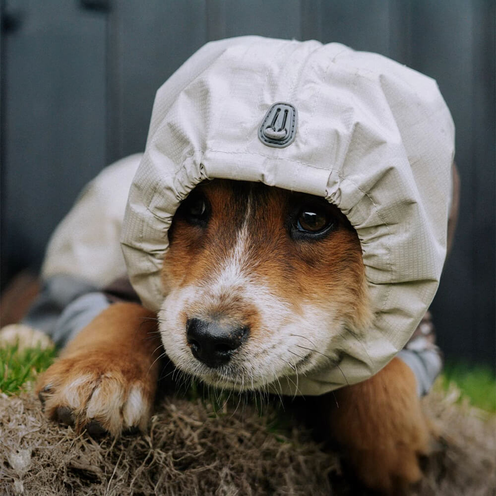 Vierbeiniger Leichter Wasserdichter Rollkragen-Regenmantel mit reflektierendem Kordelzug und Kapuze für Hund und Besitzer