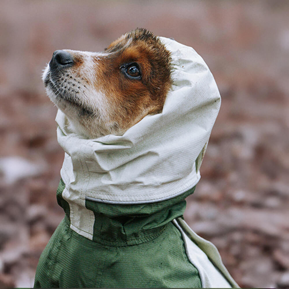 Vierbeiniger Leichter Wasserdichter Rollkragen-Regenmantel mit reflektierendem Kordelzug und Kapuze für Hund und Besitzer