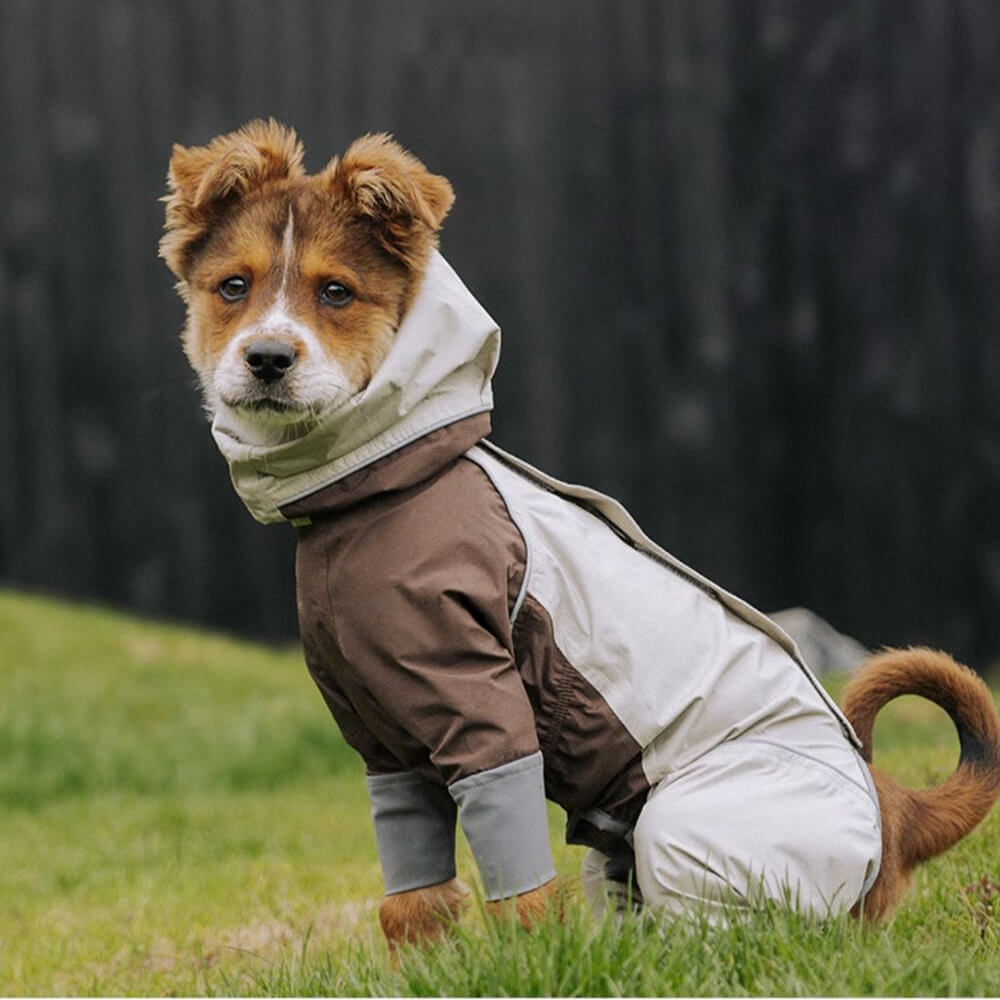 Vierbeiniger Leichter Wasserdichter Rollkragen-Regenmantel mit reflektierendem Kordelzug und Kapuze für Hund und Besitzer