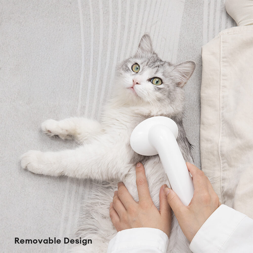 2 in 1 Shampoospender & Massagefrother Hundebadebürste
