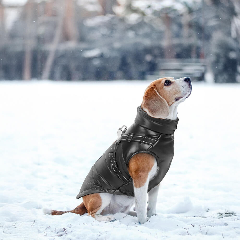 Schicke Reflektierende Wasserdichte Sichere Verstellbare Passform Warme Hundejacke