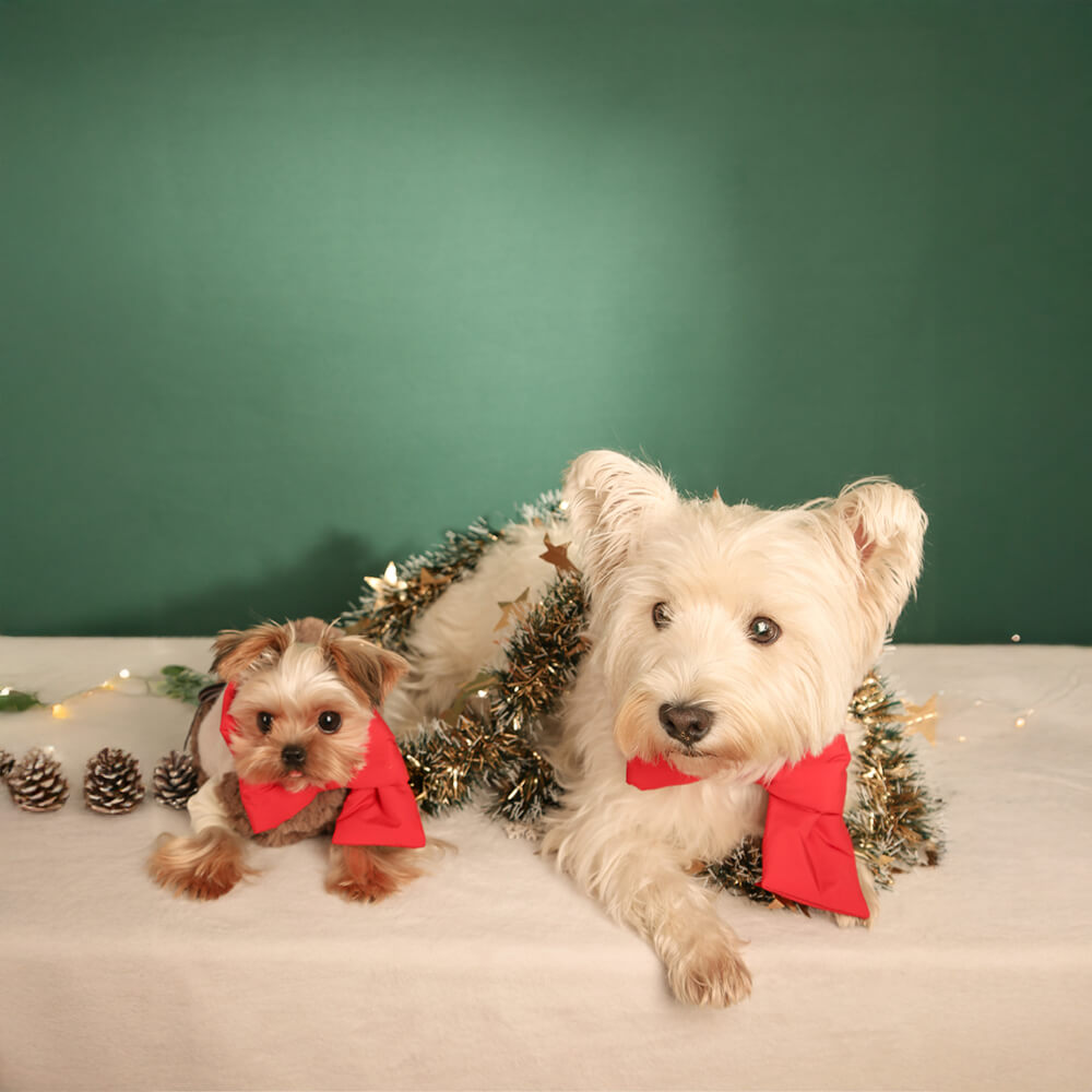 Hunde- und Katzenschal mit Weihnachtsschleife und verstellbarer Passform