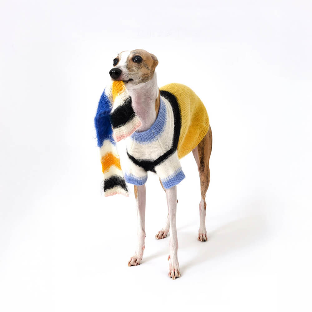 Bunter Weicher Warmer Strickschal aus Mohair für Hunde