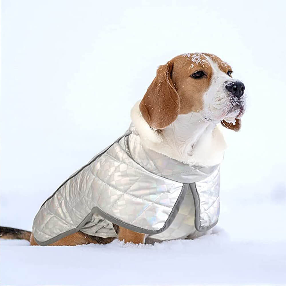 Schillernde Farbenfrohe Wasserdichte Reflektierende Warme Hundejacke