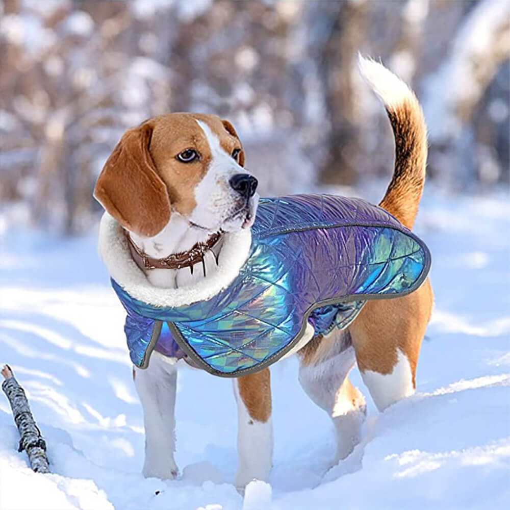 Schillernde Farbenfrohe Wasserdichte Reflektierende Warme Hundejacke