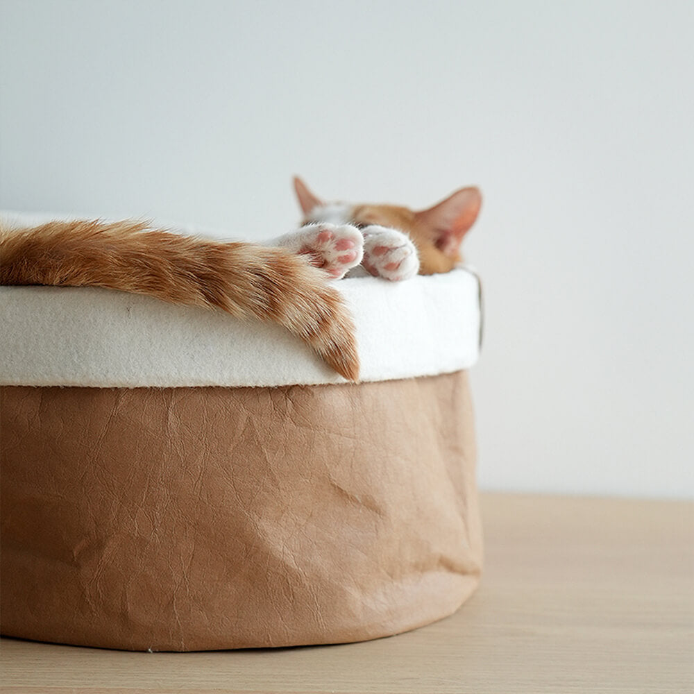 Minimalistisches Faltbares Waschbares Katzenbett aus Kraftpapier