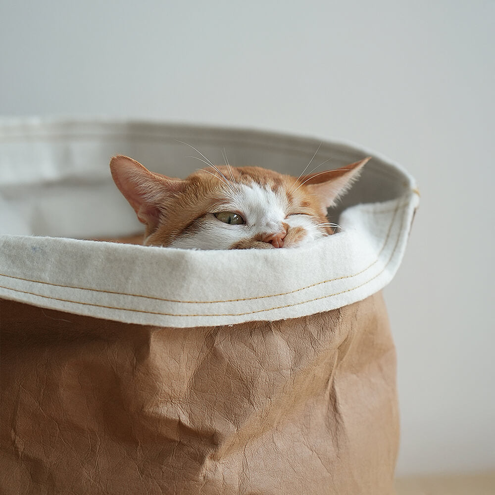 Minimalistisches Faltbares Waschbares Katzenbett aus Kraftpapier