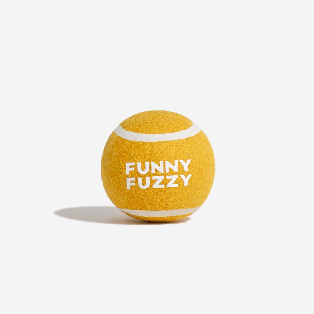 FUNNYFUZZY Tennisball-Hundespielzeug – Quietsch- und Sprungfunktion