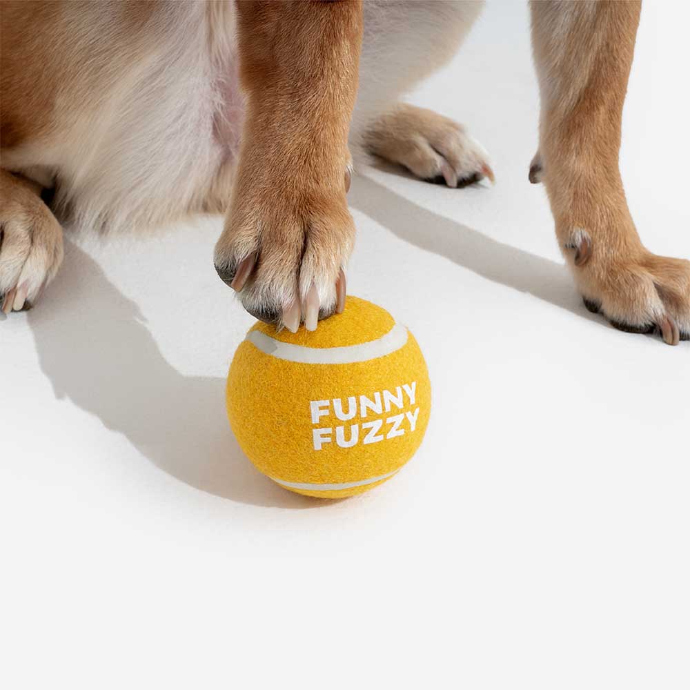 FUNNYFUZZY Tennisball-Hundespielzeug – Quietsch- und Sprungfunktion