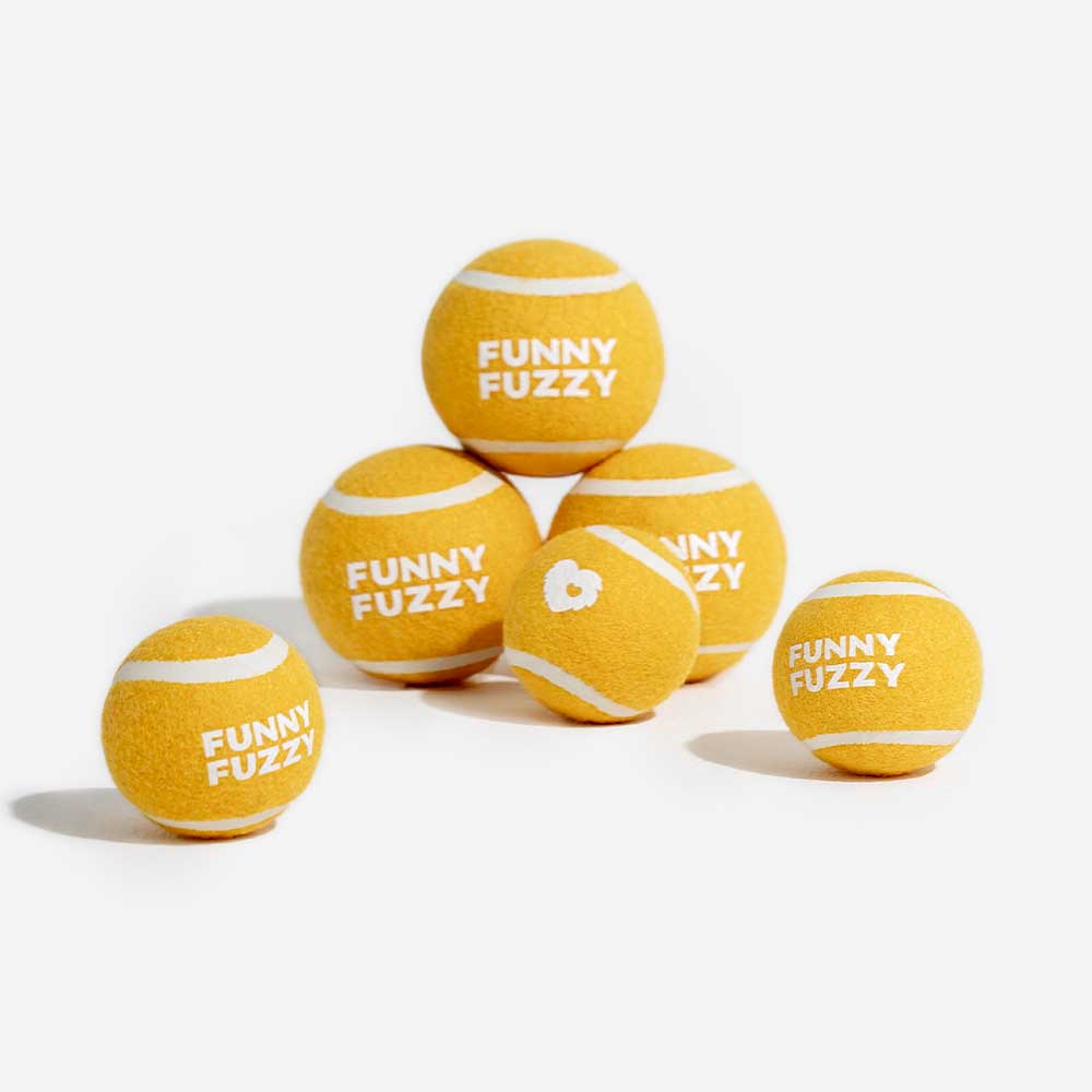 FUNNYFUZZY Tennisball-Hundespielzeug – Quietsch- und Sprungfunktion