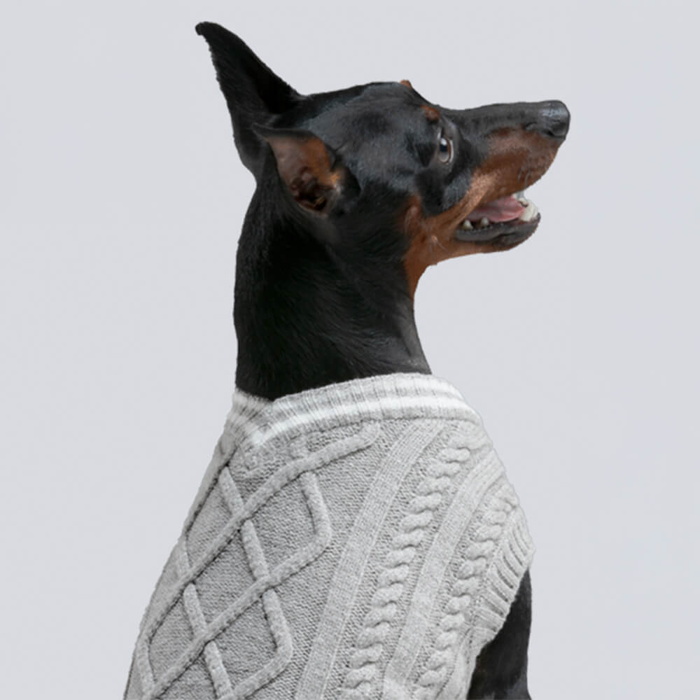 Trendy V-Ausschnitt Argyle Strick Dehnbar warm Hunde & Katzen Pullover