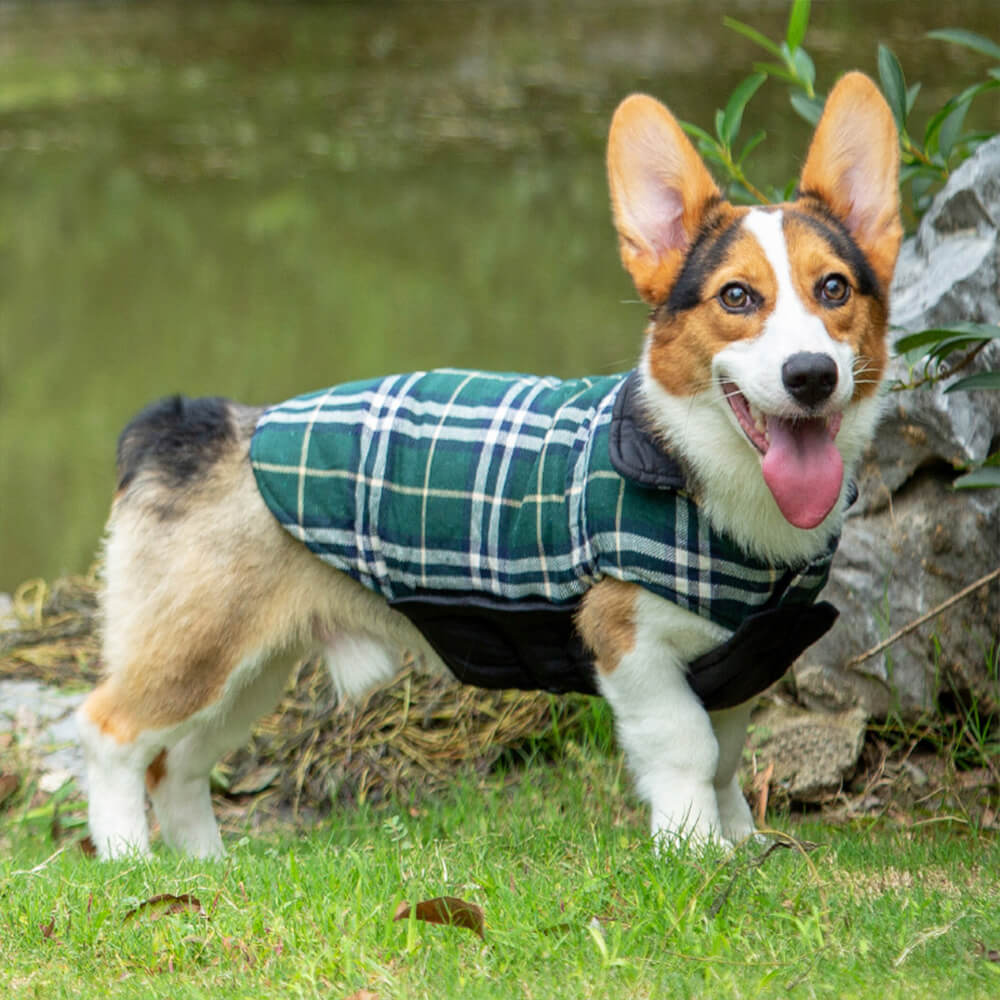 Ultrawarme Karierte Rollkragen-Hundejacke mit hautfreundlichem Klettverschluss