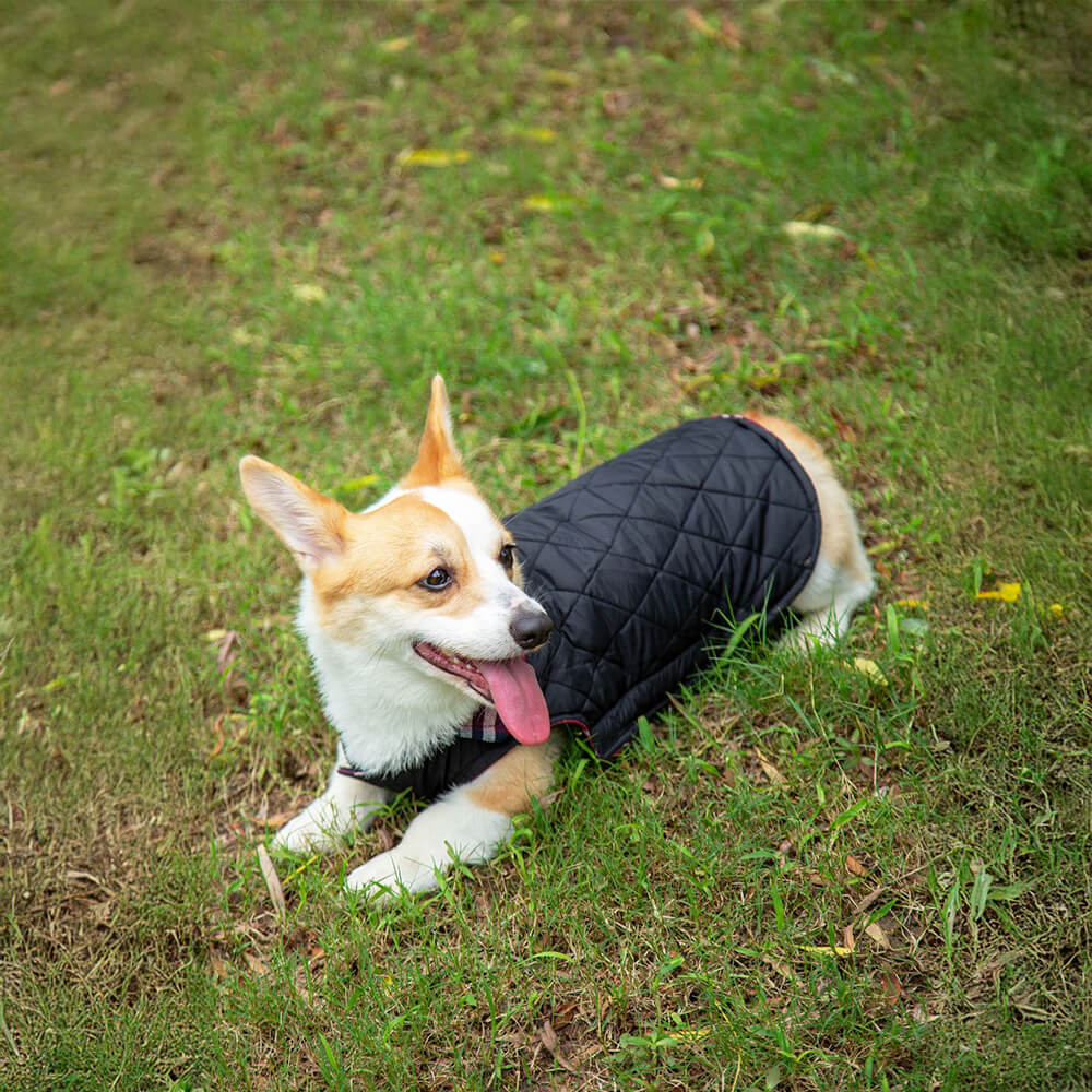 Ultrawarme Karierte Rollkragen-Hundejacke mit hautfreundlichem Klettverschluss