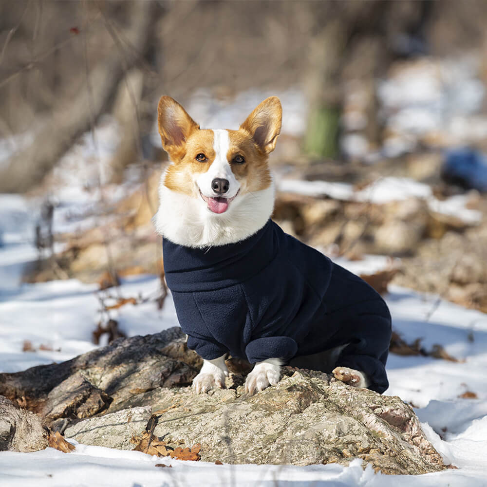 Winddichter Warmer Ganzkörper-Rollkragen-Overall aus Polarfleece für Hunde