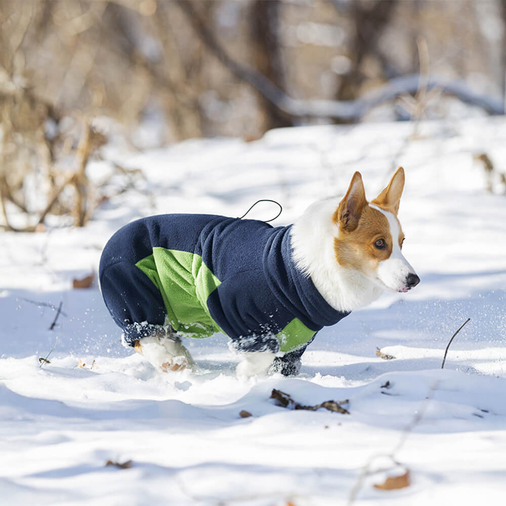 Winddichter Warmer Ganzkörper-Rollkragen-Overall aus Polarfleece für Hunde