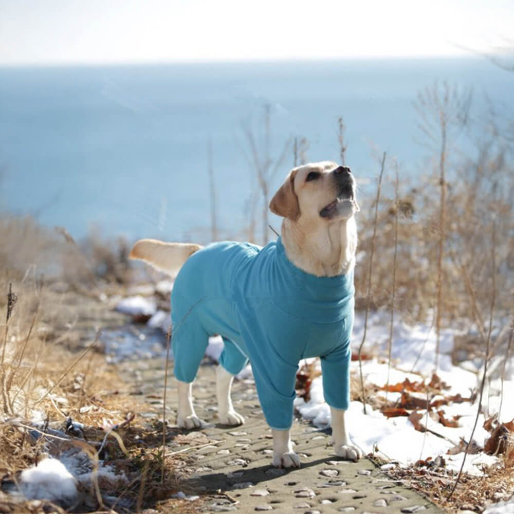 Winddichter Warmer Ganzkörper-Rollkragen-Overall aus Polarfleece für Hunde