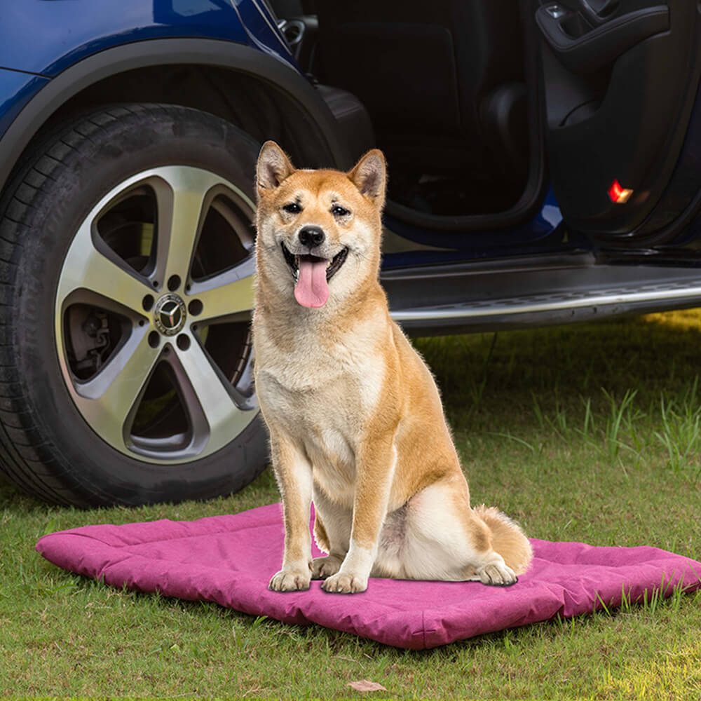 Wasserdichte faltbare Haustiermatte im Outdoor-Nutzungsstil für Auto und Camping