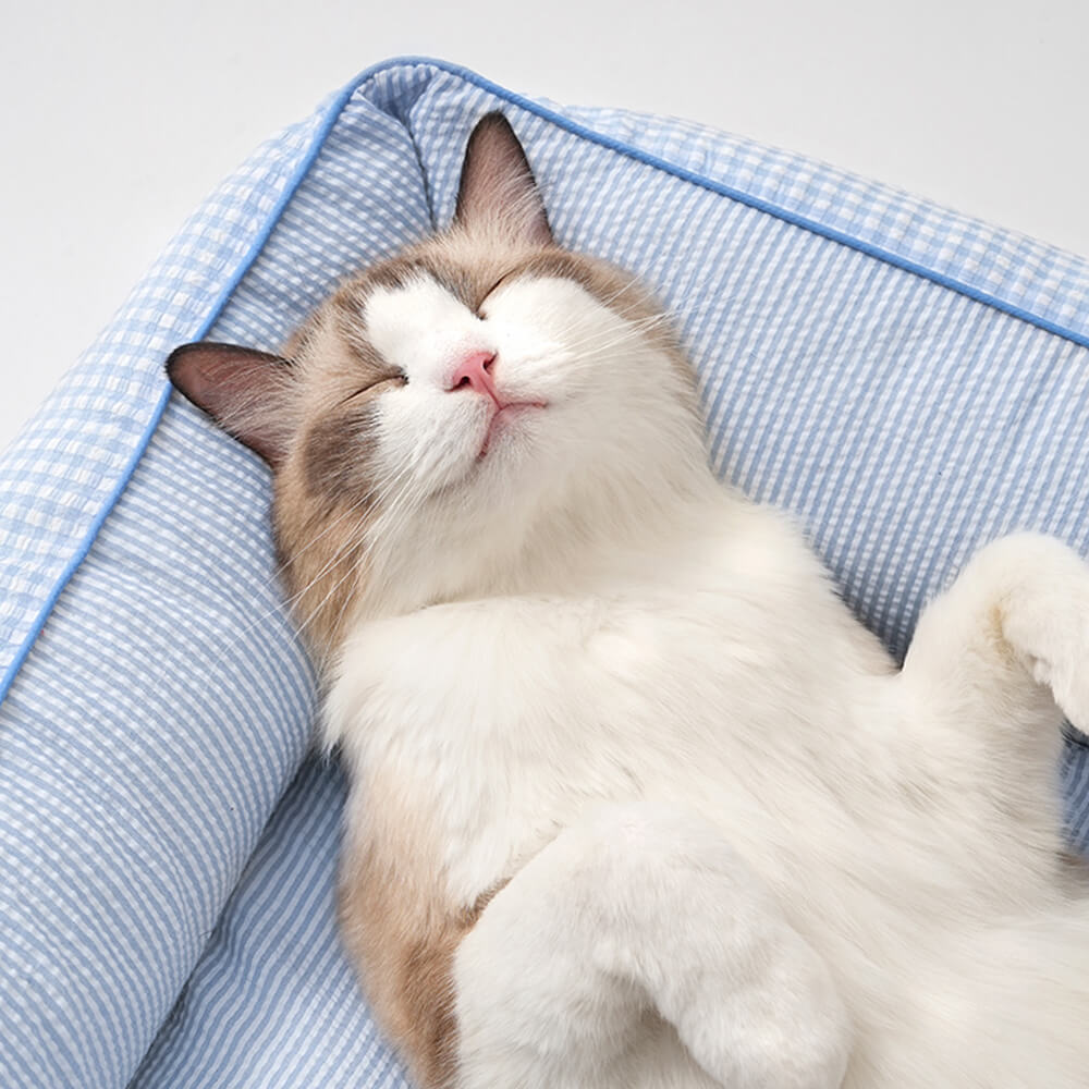 Weicher Gingham waschbarer Hund- und Katzen-Sofabett mit Kissen