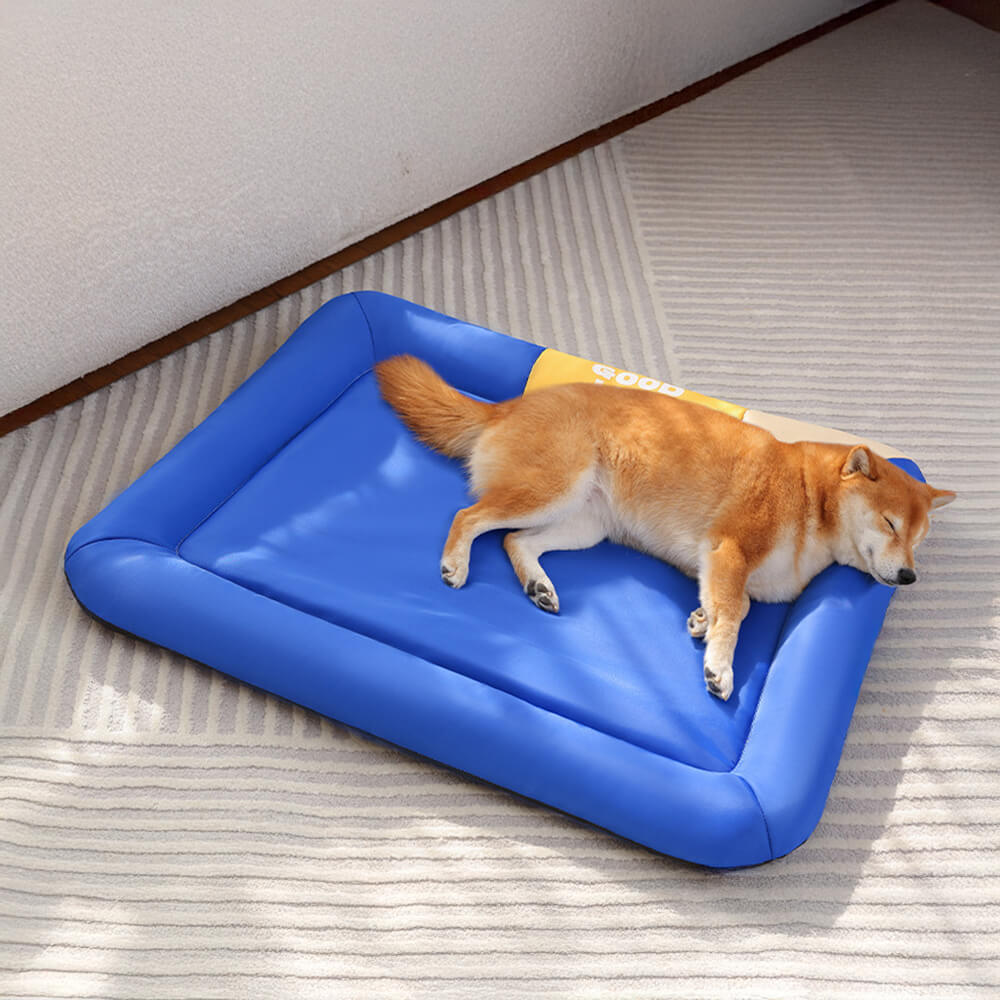 Farbblock Wasserdicht Kratzfest Ganzjähriger Hundematte