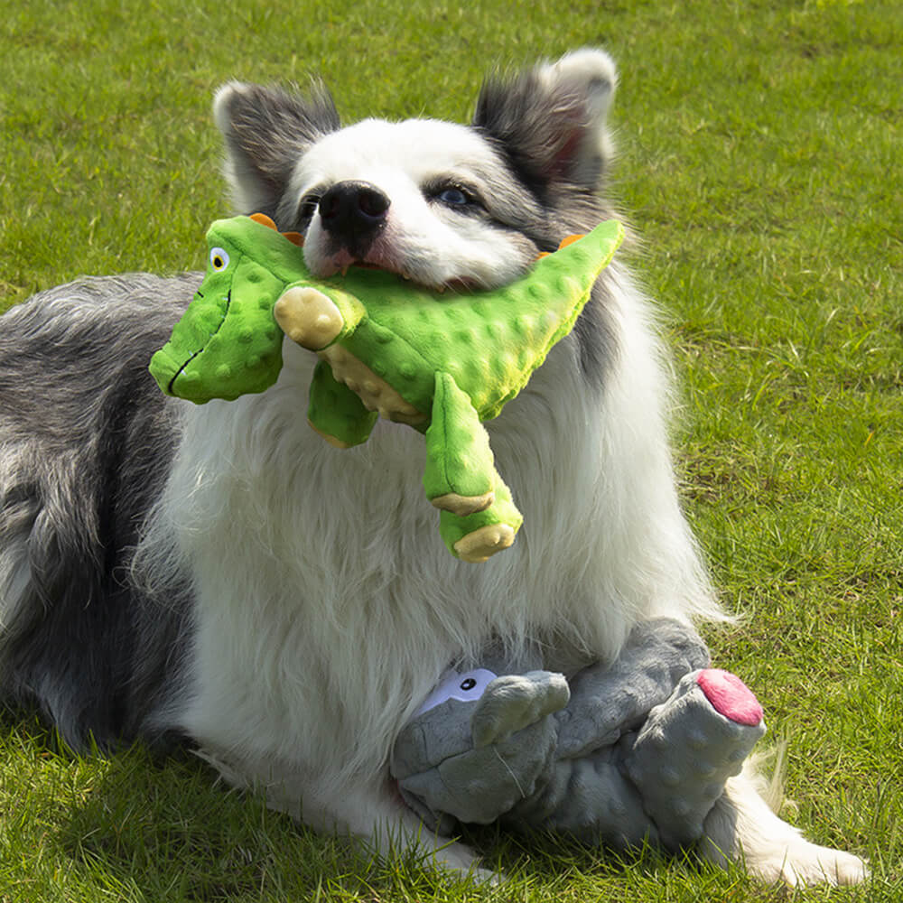 Robustes Bissfestes Hundespielzeug in Krokodilform mit eingebautem Quietscher