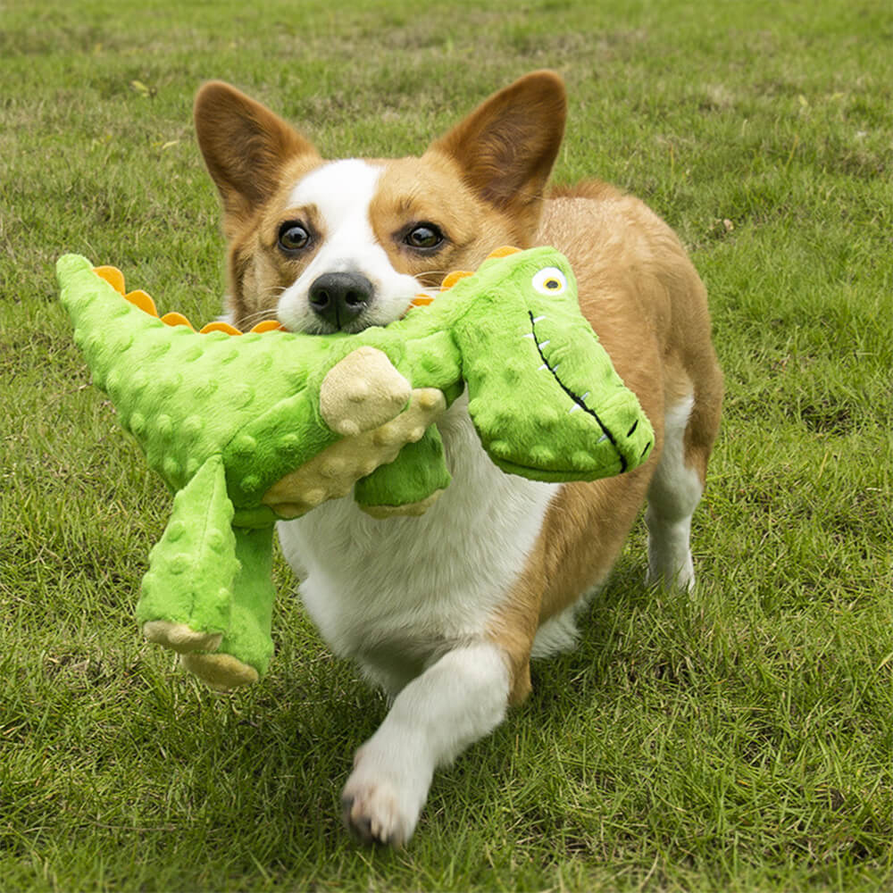 Robustes Bissfestes Hundespielzeug in Krokodilform mit eingebautem Quietscher