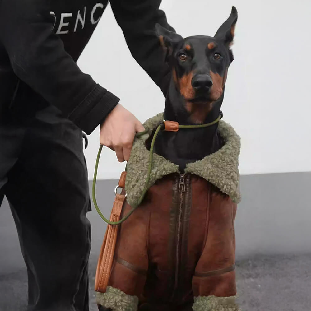 Vintage Fliegerjacke für Hunde mit Lammfellfutter - warm und stylisch