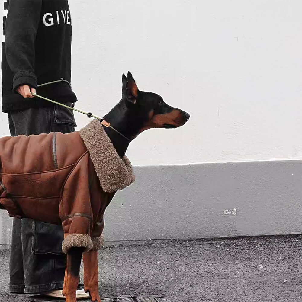 Vintage Fliegerjacke für Hunde mit Lammfellfutter - warm und stylisch