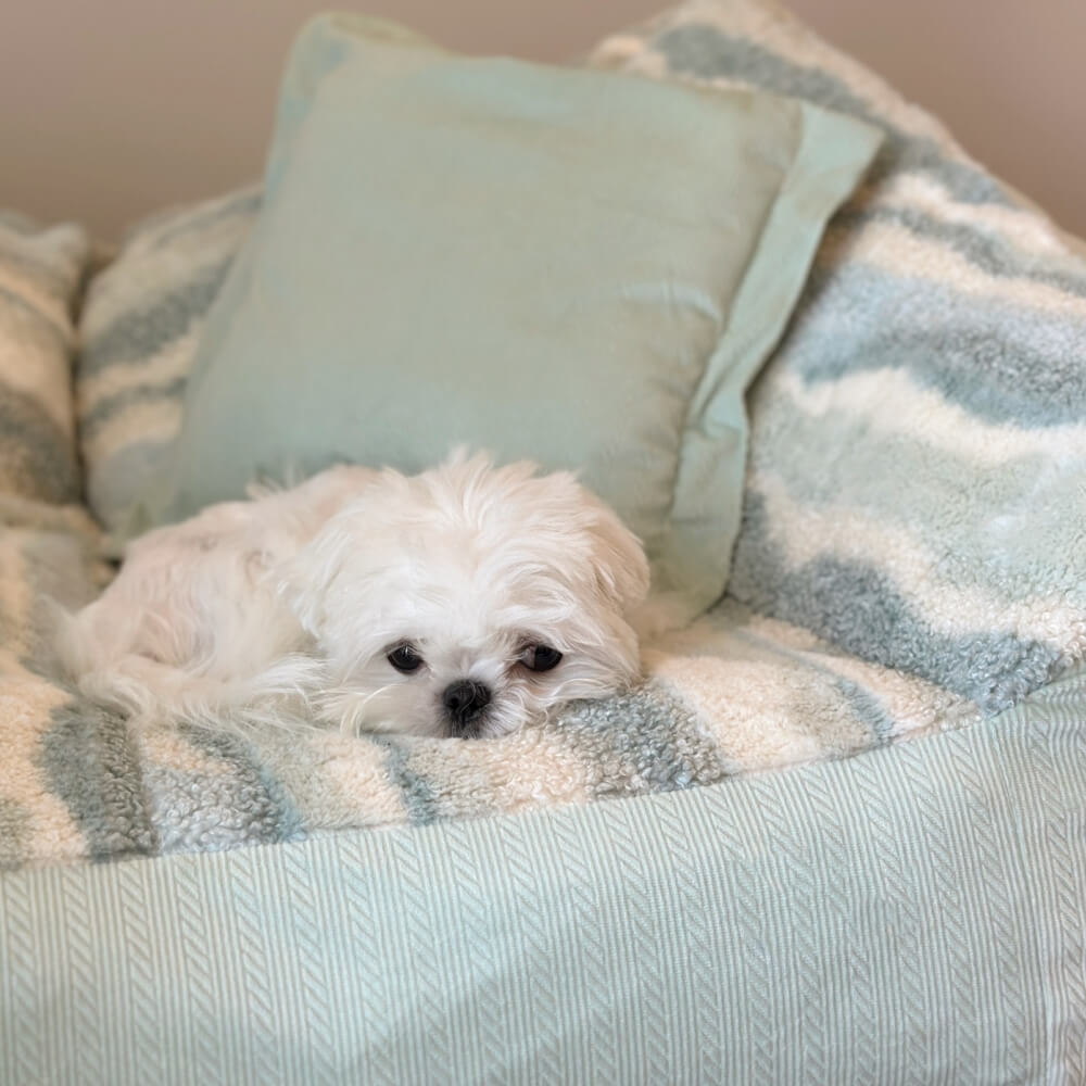 Modisches Schlafsofa für Hunde aus Polarfleece mit Farbblockdesign