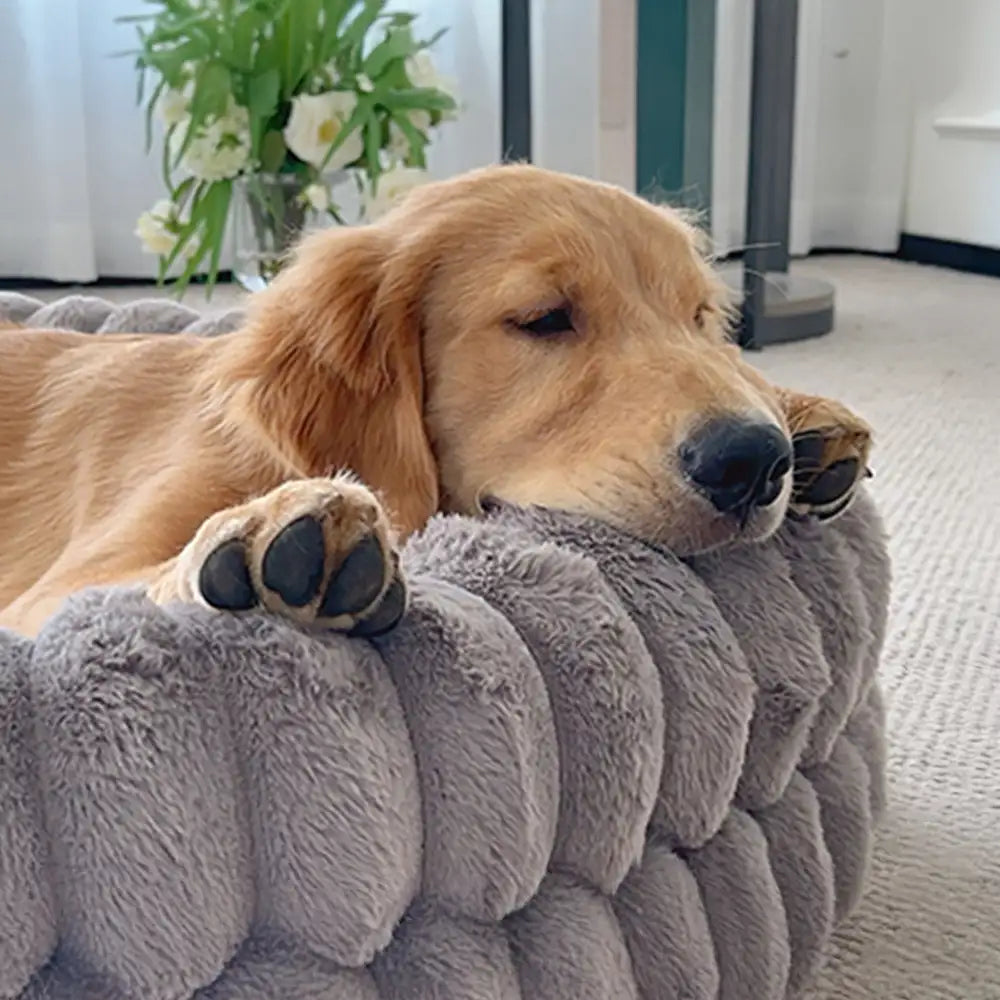 Fluffiges, dickes, warmes Hundesofa in ovaler Form – Beruhigend & komfortabel