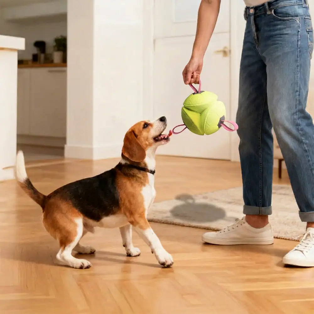 Fußball-Schwimmspielzeug für Hunde mit Riemen