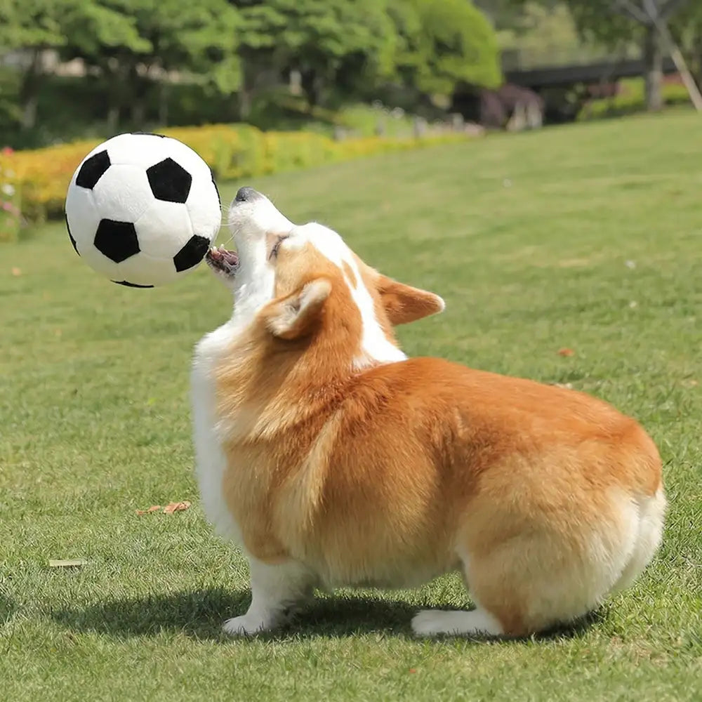 Fußball Plüschkissen