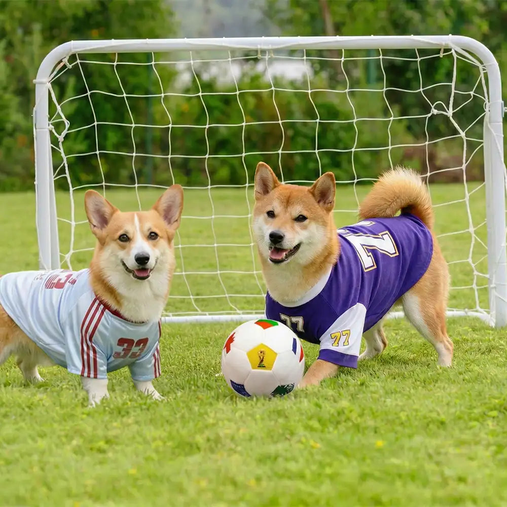 Fußball Plüschkissen