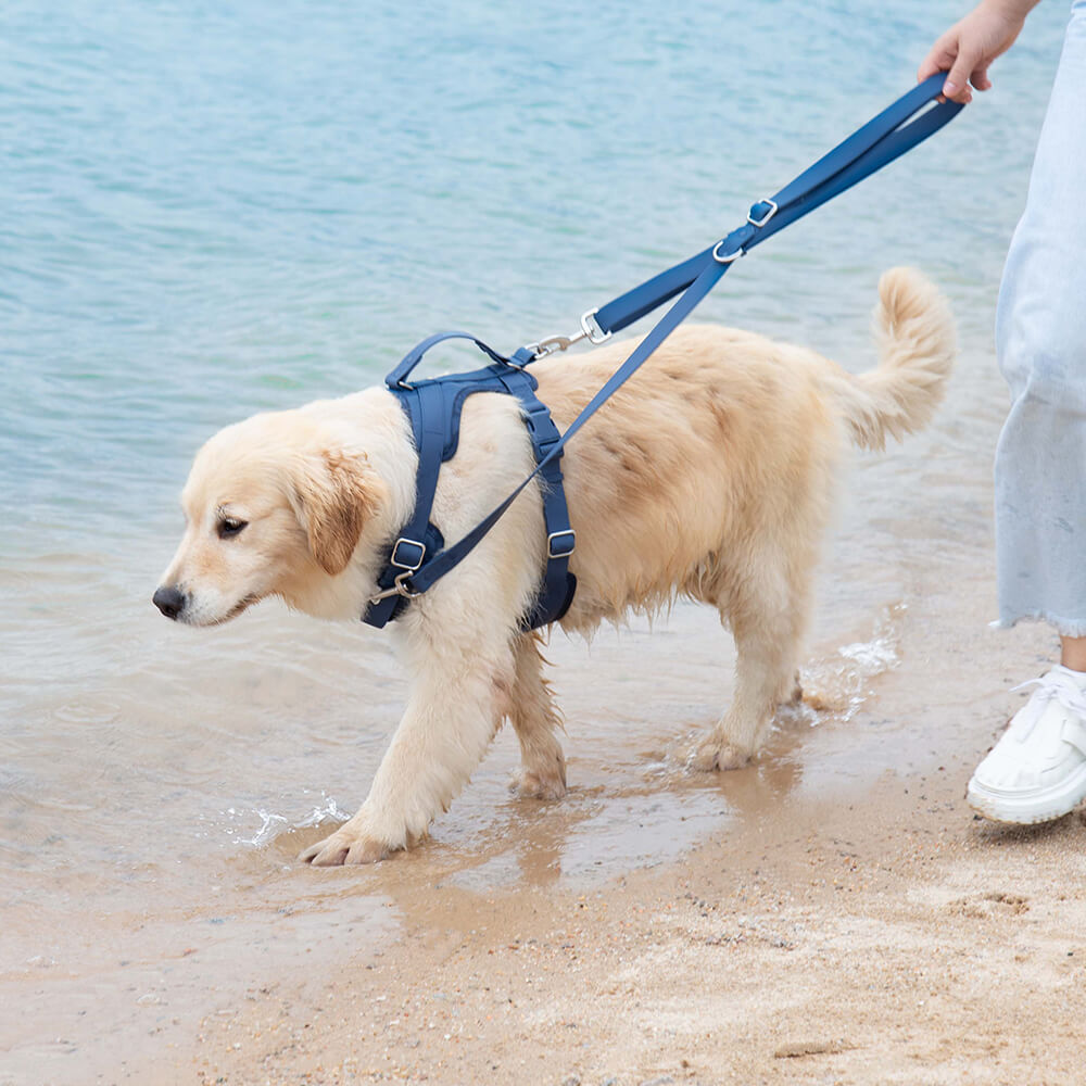 Absolut Reißfeste Wasserdichte und Antibakterielle Gummi-Hundegeschirr