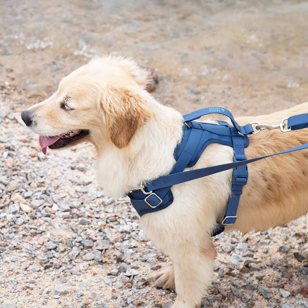 Absolut Reißfeste Wasserdichte und Antibakterielle Gummi-Hundegeschirr