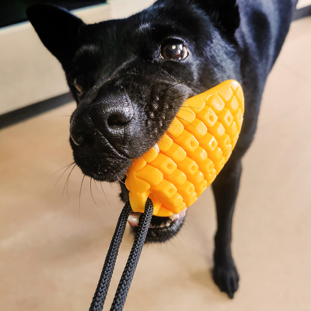 Kauspielzeug für Hunde mit Saugnapf - Mango Form