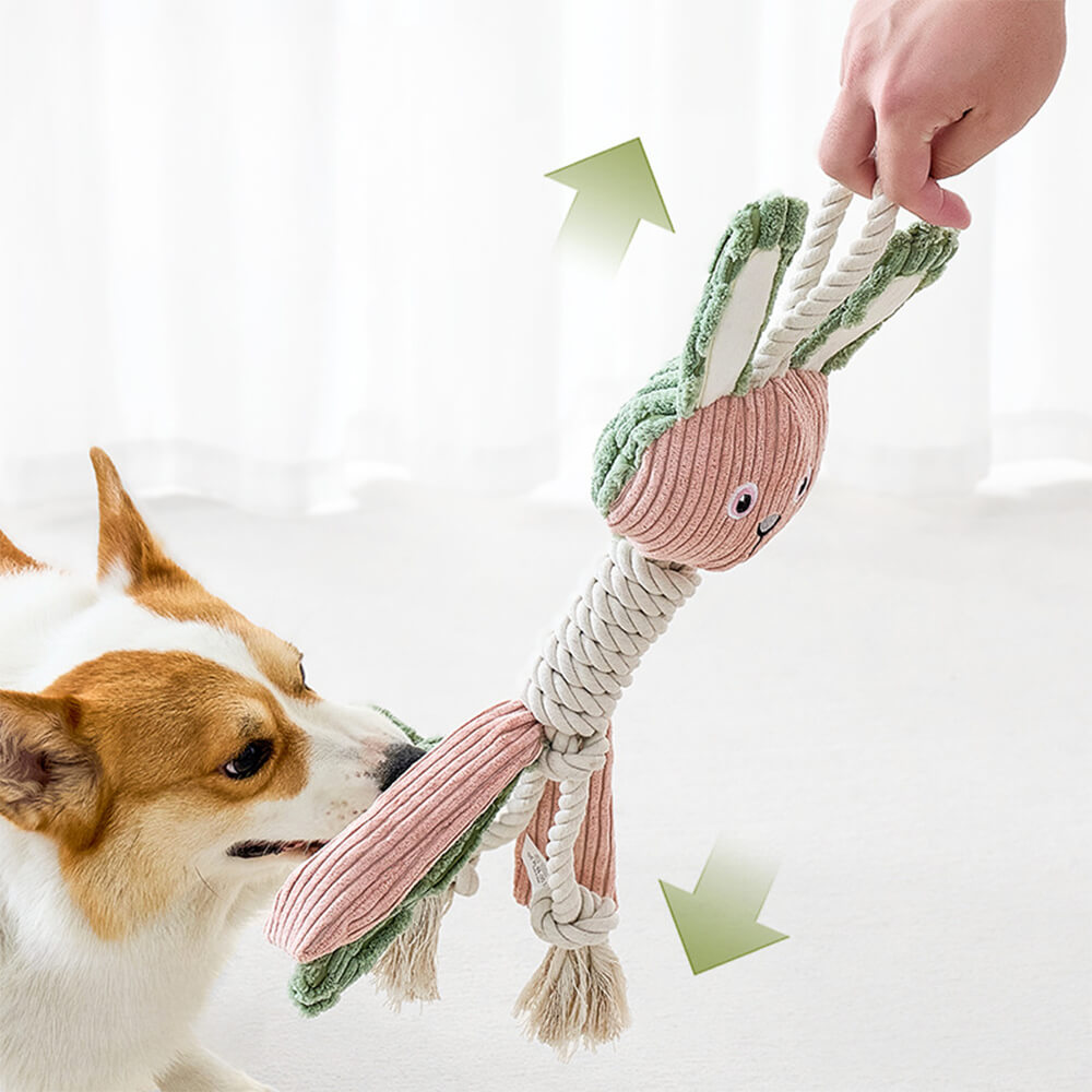 Tierische Zusammenstellung Interaktives Hundespielzeug aus Plüsch zur Zahnreinigung