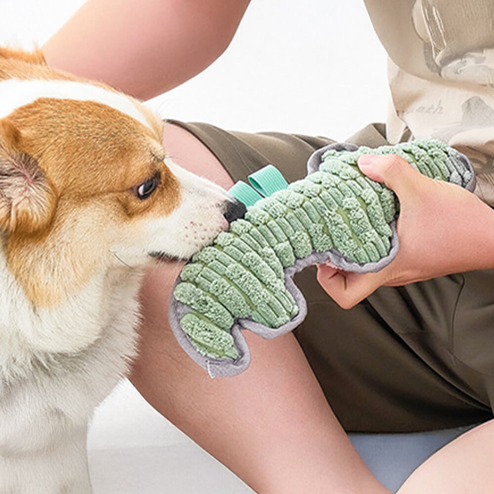 Tierische Zusammenstellung Interaktives Hundespielzeug aus Plüsch zur Zahnreinigung