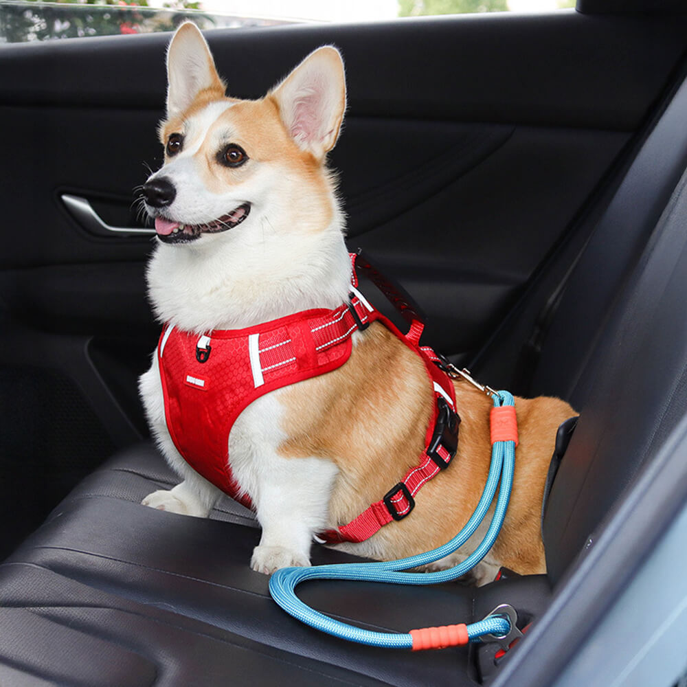 Anti-Zieh Nylon Hund Autositz Sicherheitsgurt
